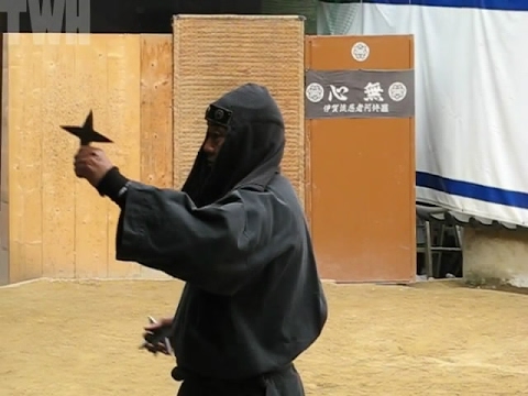 Weapons Training Ninja