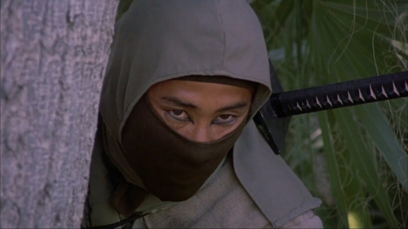 The Ninja in Movies