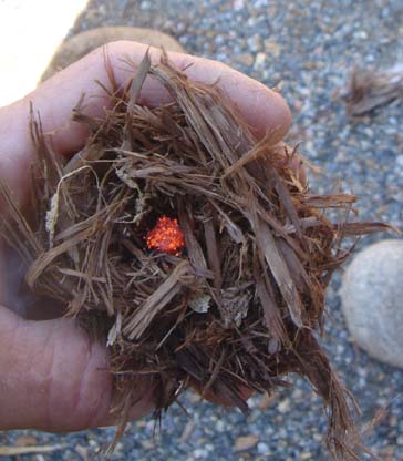 birds nest or tinder bundle with spark from bow and drill in the center being blown into flame.
